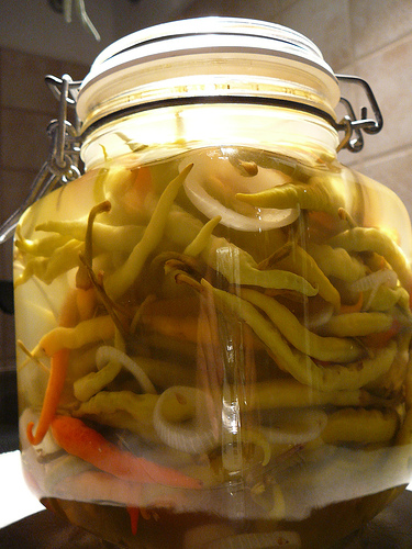 Chili, Chilischoten, eingelegte Chilischoten